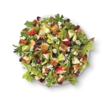 WENDY'S Menu USA - with Prices, Pictures & Calories 2025 53 wendys apple pecan salad